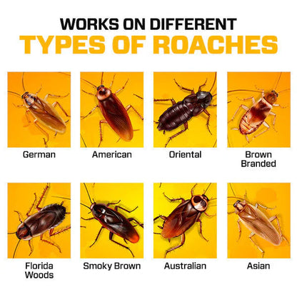 Natural Cockroach Killer for Kitchens, Bathrooms, and Cabinets