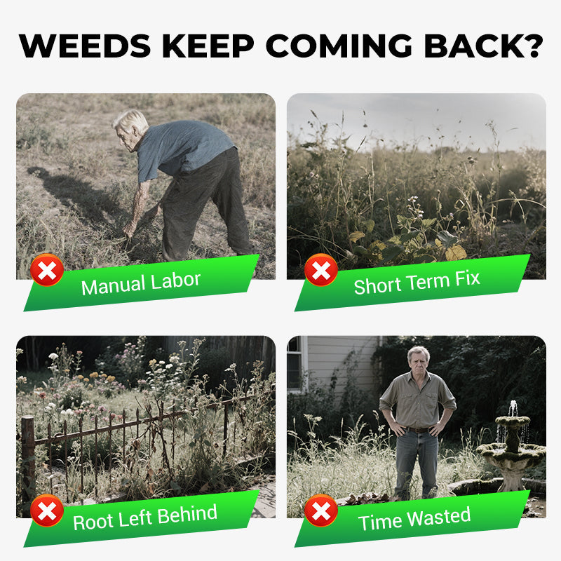Cyclosinone Herbicide | 🔥BUY 1 GET 1 FREE🔥