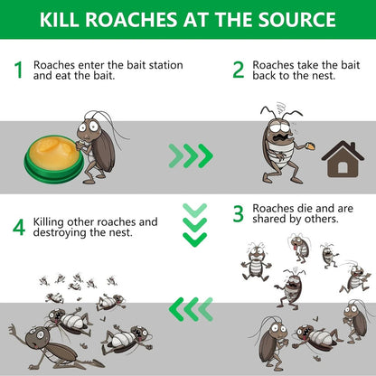 Natural Cockroach Killer for Kitchens, Bathrooms, and Cabinets