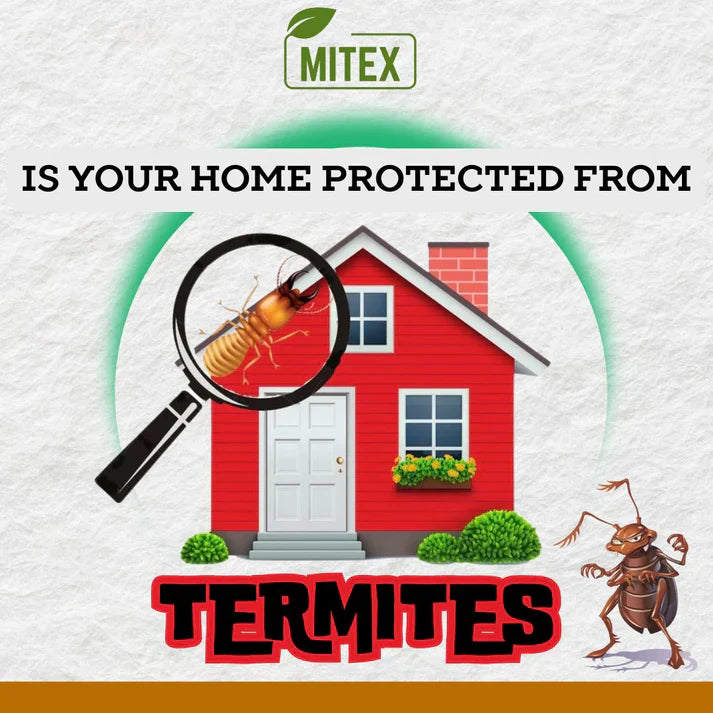 Termite Killer Spray – (Buy 1 Get 2 FREE🔥🔥)