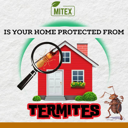 Termite Killer Spray – (Buy 1 Get 2 FREE🔥🔥)