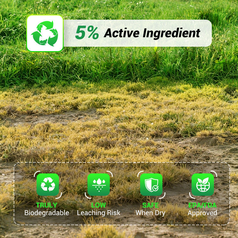 Cyclosinone Herbicide | 🔥BUY 1 GET 1 FREE🔥