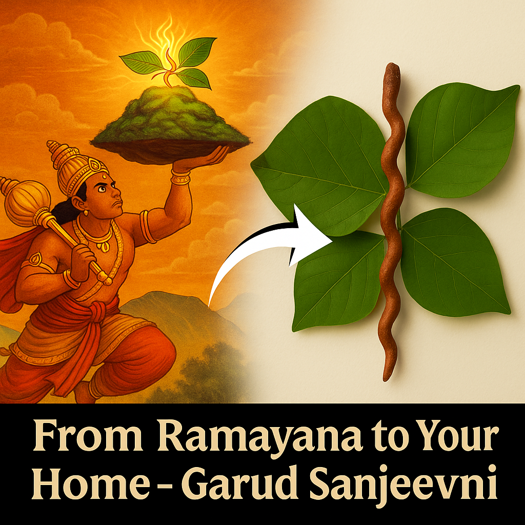 100% Ramayan Original Garuda Sanjivani stick