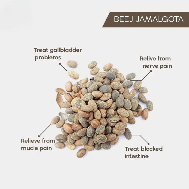 Jamalgota™ Ayurvedic Hair Growth Powder - (Buy 1 Get 1 FREE 🔥🔥)
